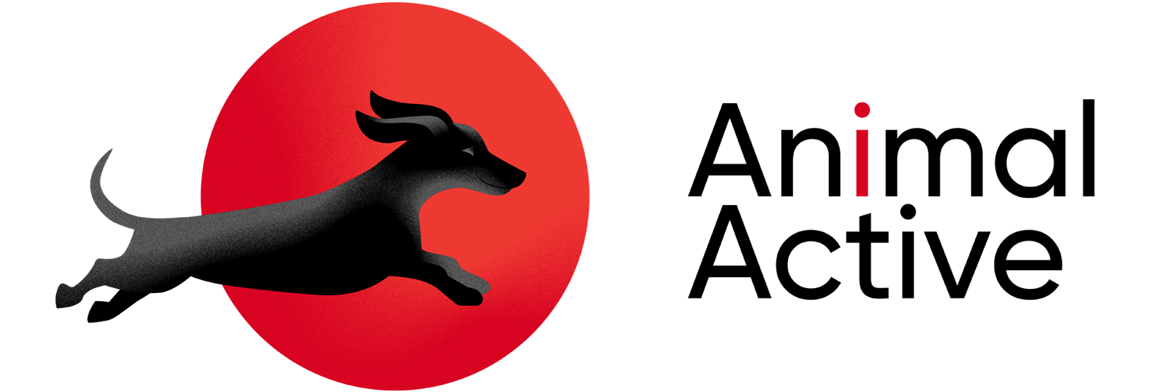 Rehabilitacja Zwierząt